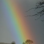 Rainbow T1 2012